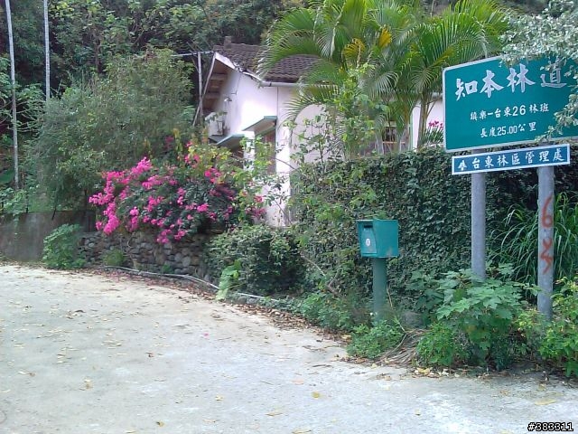 知本林道初探