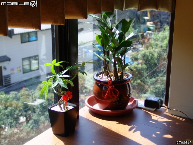 [分享]我的溫暖小屋