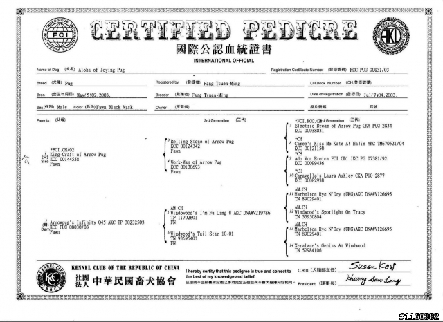 我家的巴哥想找老婆.....他是名犬後代......