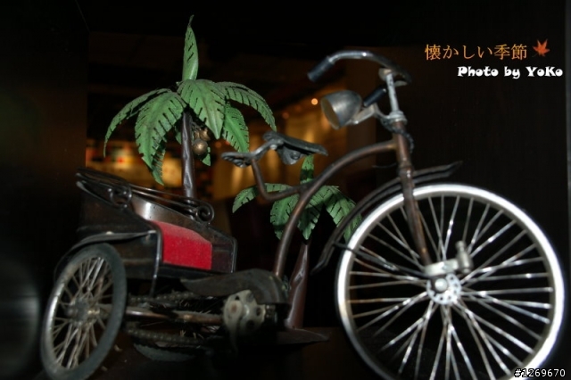 第一次玩單眼請多指教