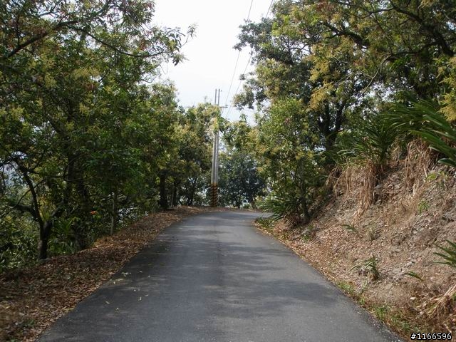 虛累累之屏東三地門 "霧佳吊橋" 探路之旅