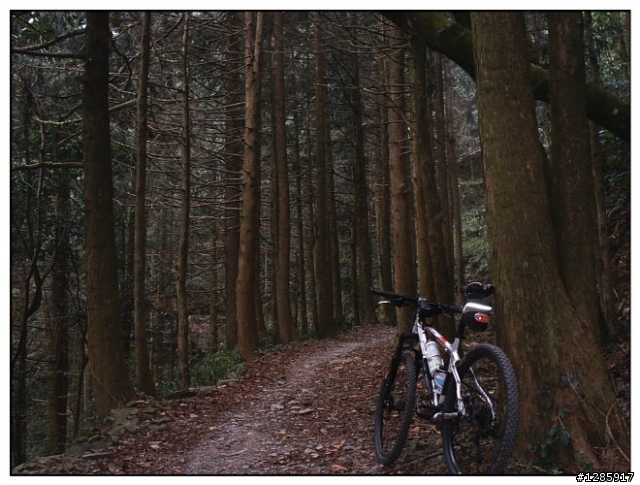魔力幻化的北大武登山口