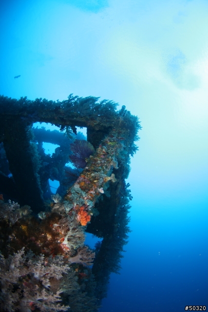 98' 綠島潛水