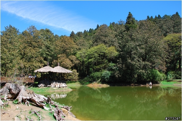 櫻櫻美代子去阿里山尋找日出東方的感動啪啪夠之旅@09-0316