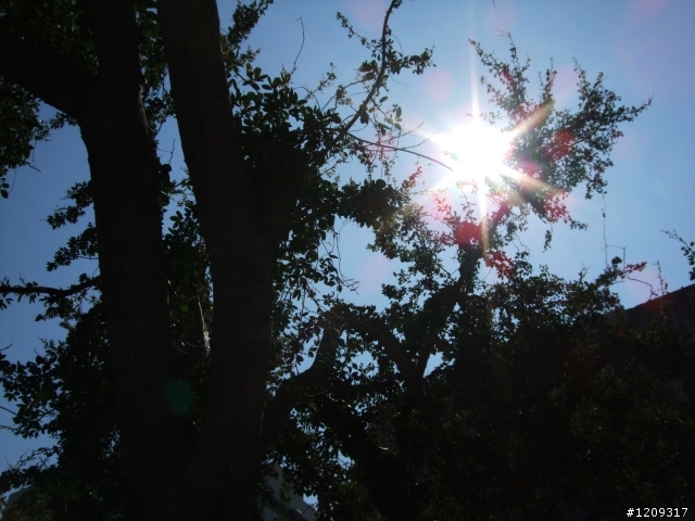剛購買的F60拍攝出來嚕~還真好看耶!
