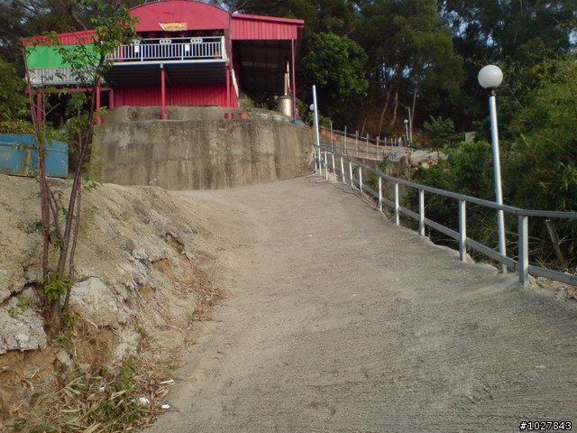 潭子新田--櫸楺樹土地公廟