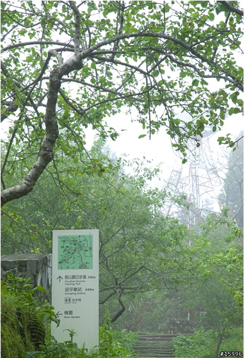 老機不朽, D70 or D70S 來蓋大樓囉