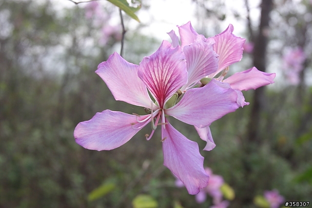 基點尋～小崗山