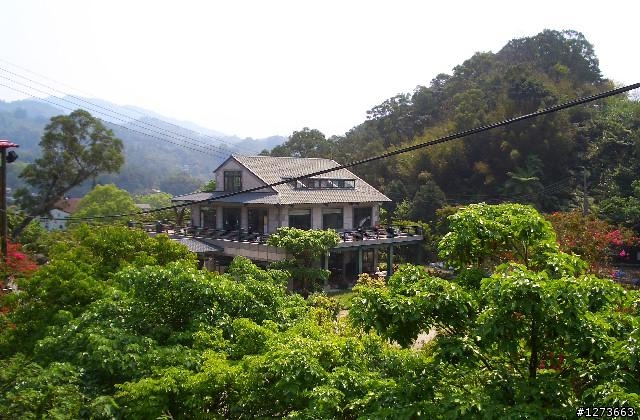 東眼山路線~新手爬山~圖多!