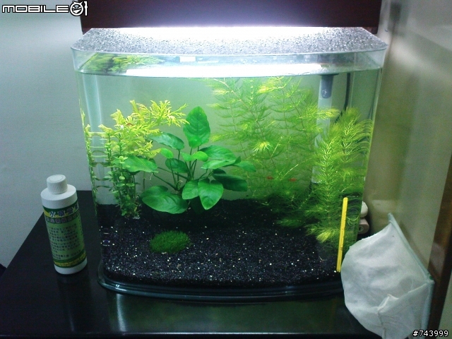 [請益] 新手小草缸..