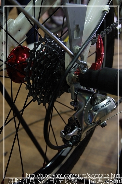 OYAMA 海豚 L300 改 18速