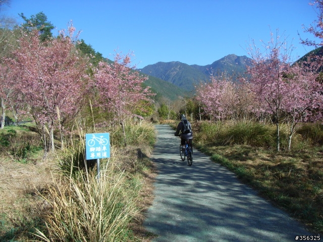 [遊記] 海拔1800M自行車道超感動誌 中橫宜蘭支線~武陵農場單車2日遊(2011.02.21 update)