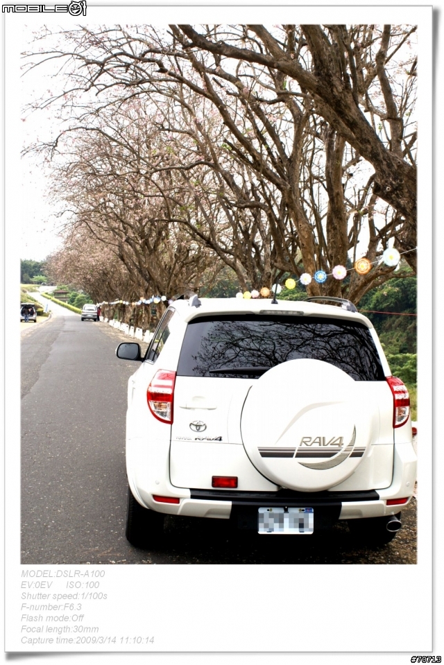 RAV4與櫻花滿開的烏山頭