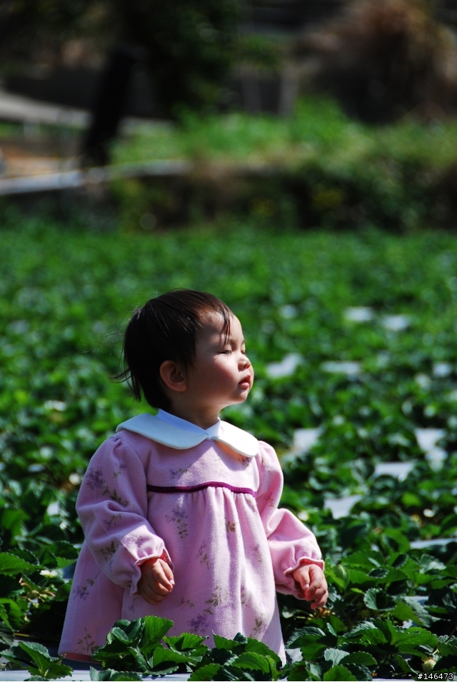 Simga?Nikon?不用考慮了N18-200VR 旅遊好鏡