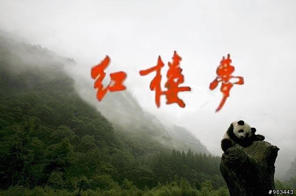 大陸最新版本《紅樓夢》劇照（超多圖）