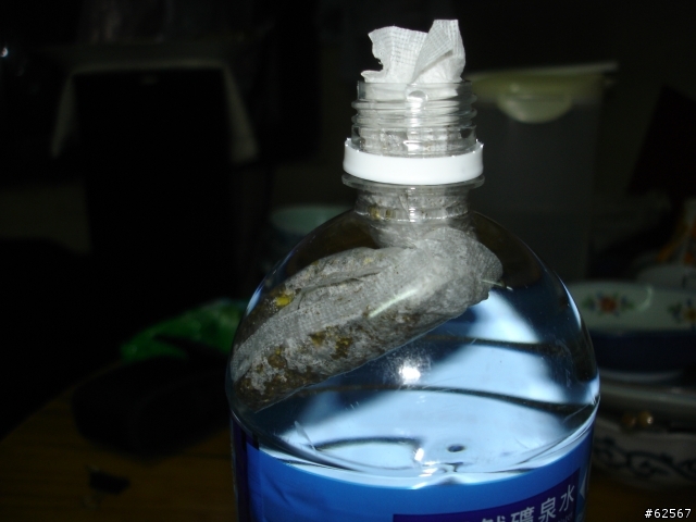 【好物分享】健康~省錢~自製冷泡茶