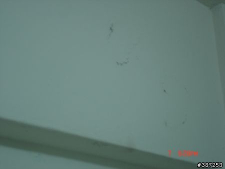 請問 天花板滲水 ,  有住戶在但都沒遇到, 房東可開門進去嗎9F (有附滲水圖) 。3/13更新。