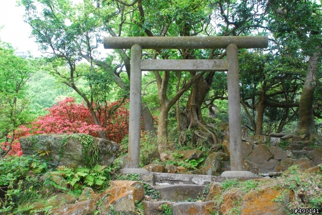 一個人的旅行～陽明山花季<圖多>待續.....