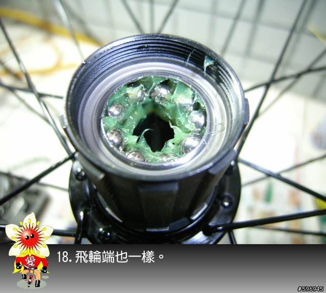 [分享]DAHON SP8後輪花鼓上油(多圖說明)