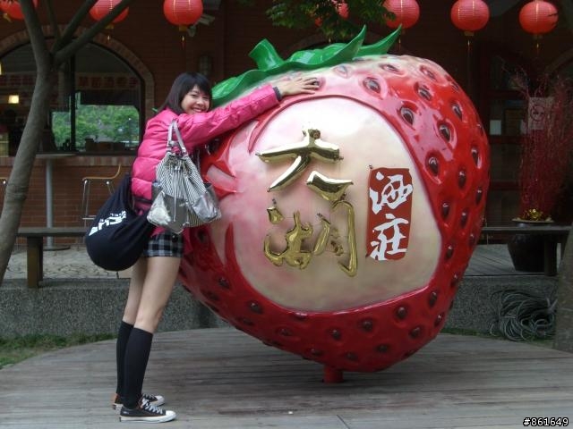 [分享]看團團圓圓去~從高雄出發~四天之旅(圖多)