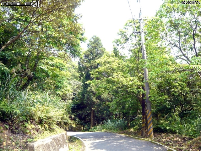 翡翠森林.跨嶺前行