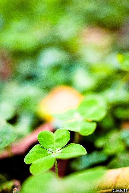 Sigma 28mm F1.8 冷門開箱(04/25補開箱照)