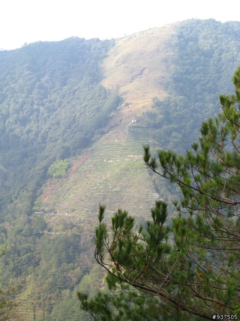 羅東→四季→梨山→大禹嶺→關原→太魯閣→新城→羅東