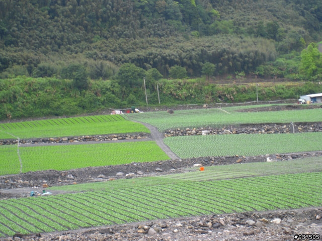 羅東→四季→梨山→大禹嶺→關原→太魯閣→新城→羅東