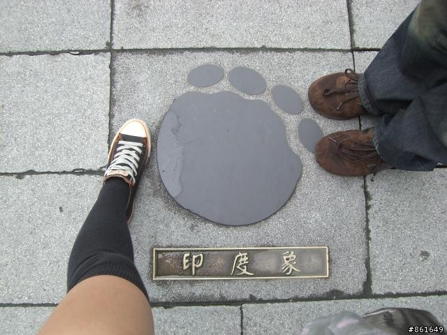 [分享]看團團圓圓去~從高雄出發~四天之旅(圖多)