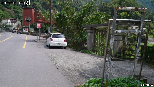 新店烏來 -三白 一黑 一棕 需要你的幫忙