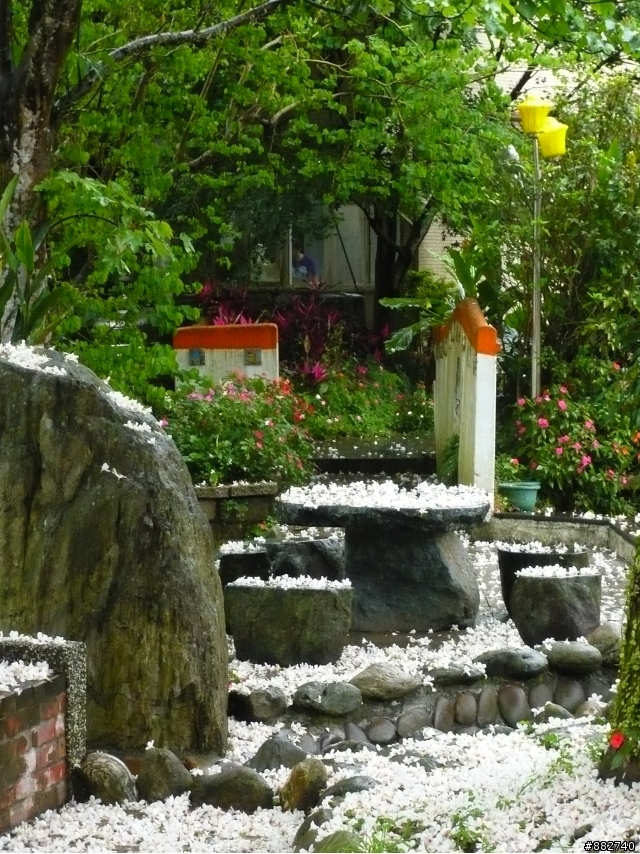 汐碇路+永碇國小賞銅花