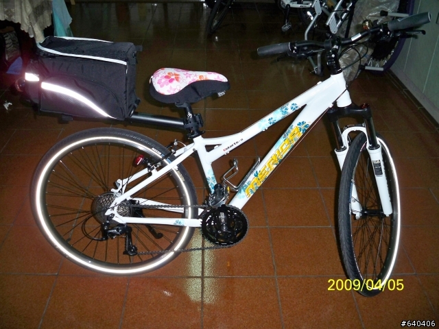 [分享文]女王座騎 M牌限量車OSTARTS-3  扶桑花