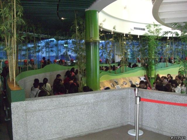 [分享]看團團圓圓去~從高雄出發~四天之旅(圖多)