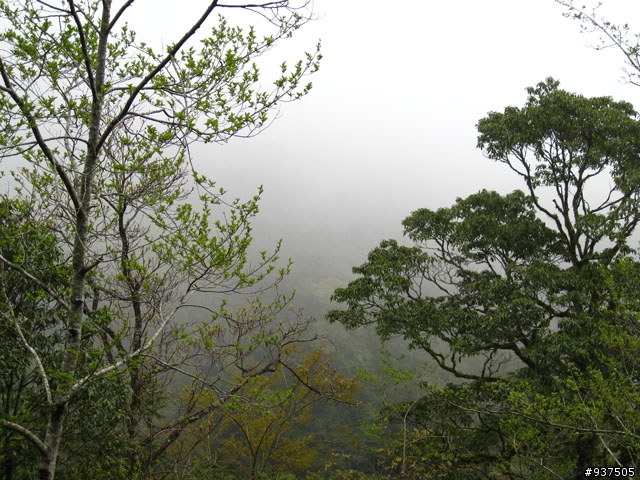 羅東→四季→梨山→大禹嶺→關原→太魯閣→新城→羅東