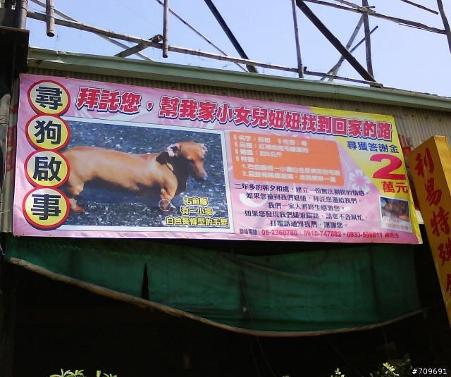 台南尋狗啟事的廣告