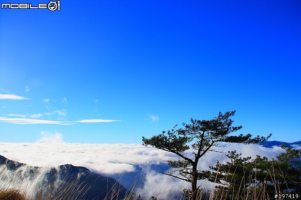 五年級生的三橫之旅