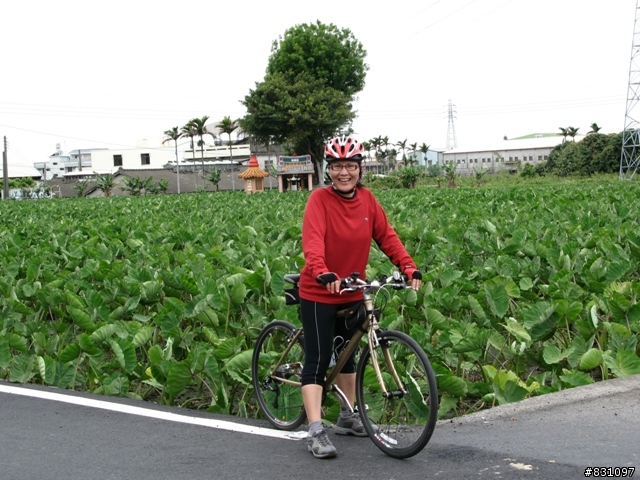 舊鐵道之旅(女王篇)－后豐鐵馬道、泰安車站、龍騰斷橋、勝興車站