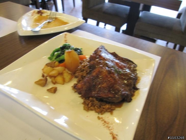 魯肉腳  東眼山+綠光森林 傷殘後復健試騎