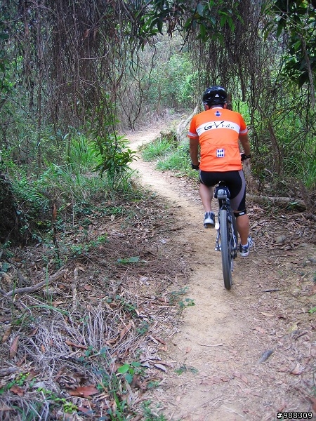 坔埔山單車行