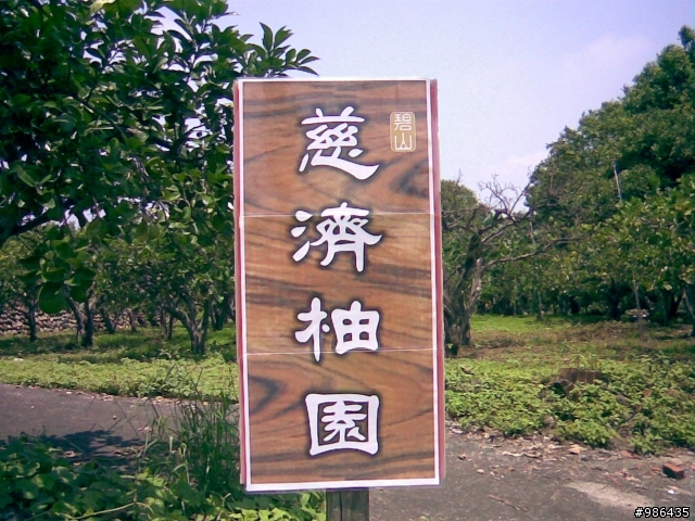 分享圖片