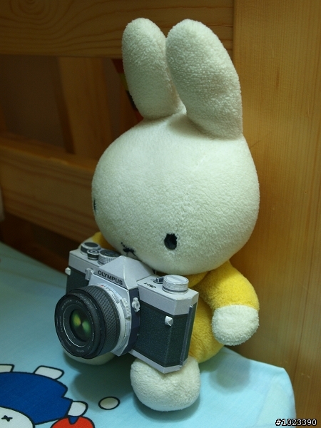 SLR紙模型 - Olympus OM-1 一機三鏡組