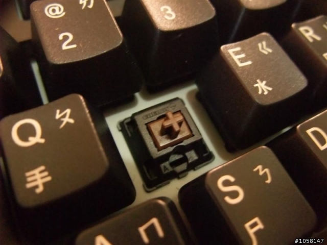 【雅】Filco(黑軸) V.S Datacomp(茶軸) 趣味評比