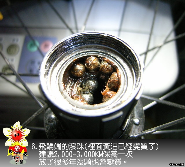 [分享]DAHON SP8後輪花鼓上油(多圖說明)