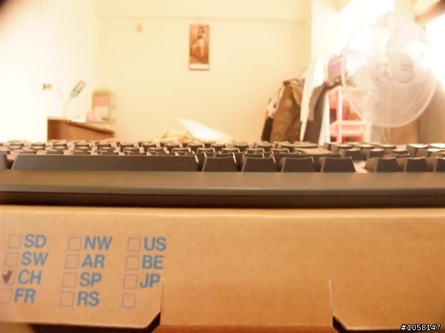 【雅】Filco(黑軸) V.S Datacomp(茶軸) 趣味評比