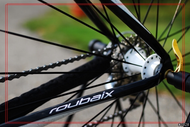 男人一生中必須要有的渦輪車與公路車Specialized ROUBAIX Comp