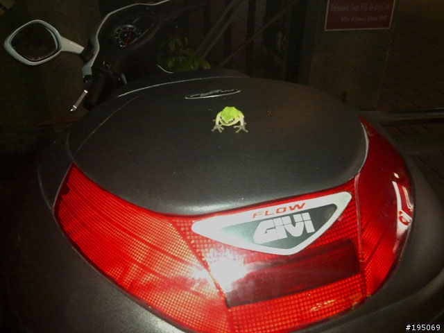 [分享] GSR Fi 上 Givi E350