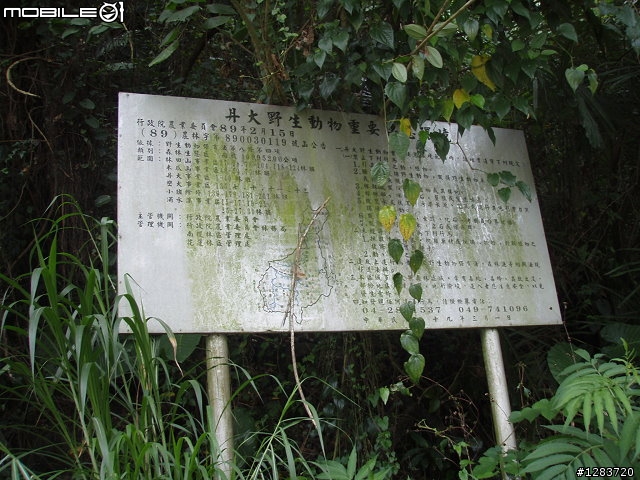 人倫林道鬥鬥遊