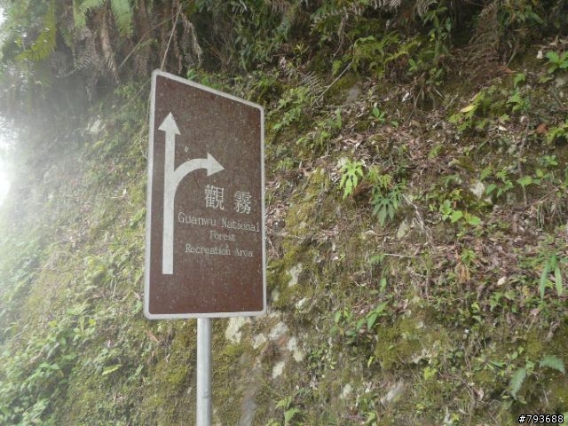 20090411  清泉-觀霧 4+2 七人之旅  照片重新連結完成