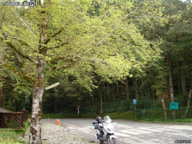 五年級生的三橫之旅