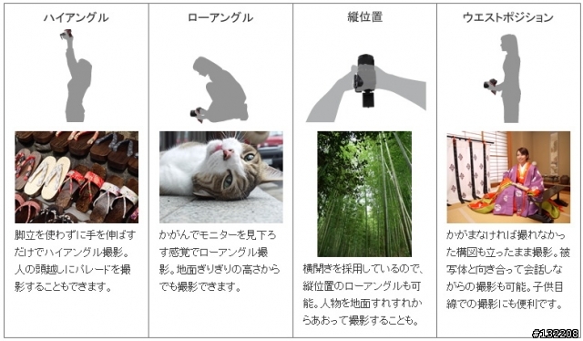 Canon呢？Nikon.Olympus.Panasonic.Sony的DSLR都有可翻轉LCD！